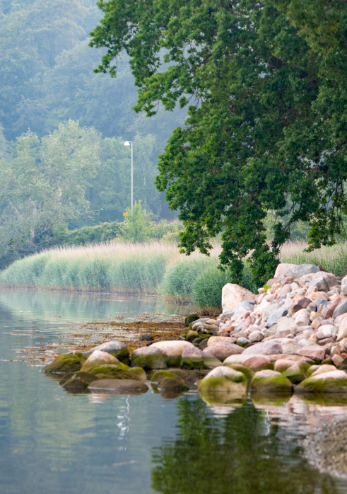 Vand og stensætning