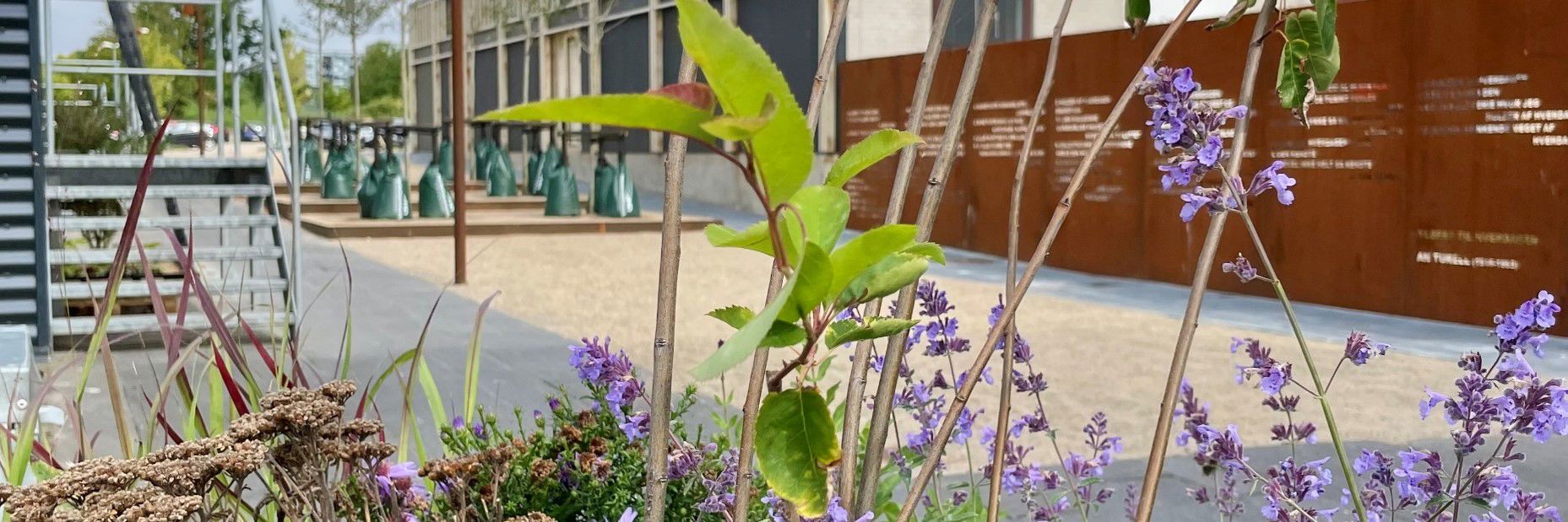 Nørremark Center med blomsterkrukke i forgrunden og centeret i baggrunden