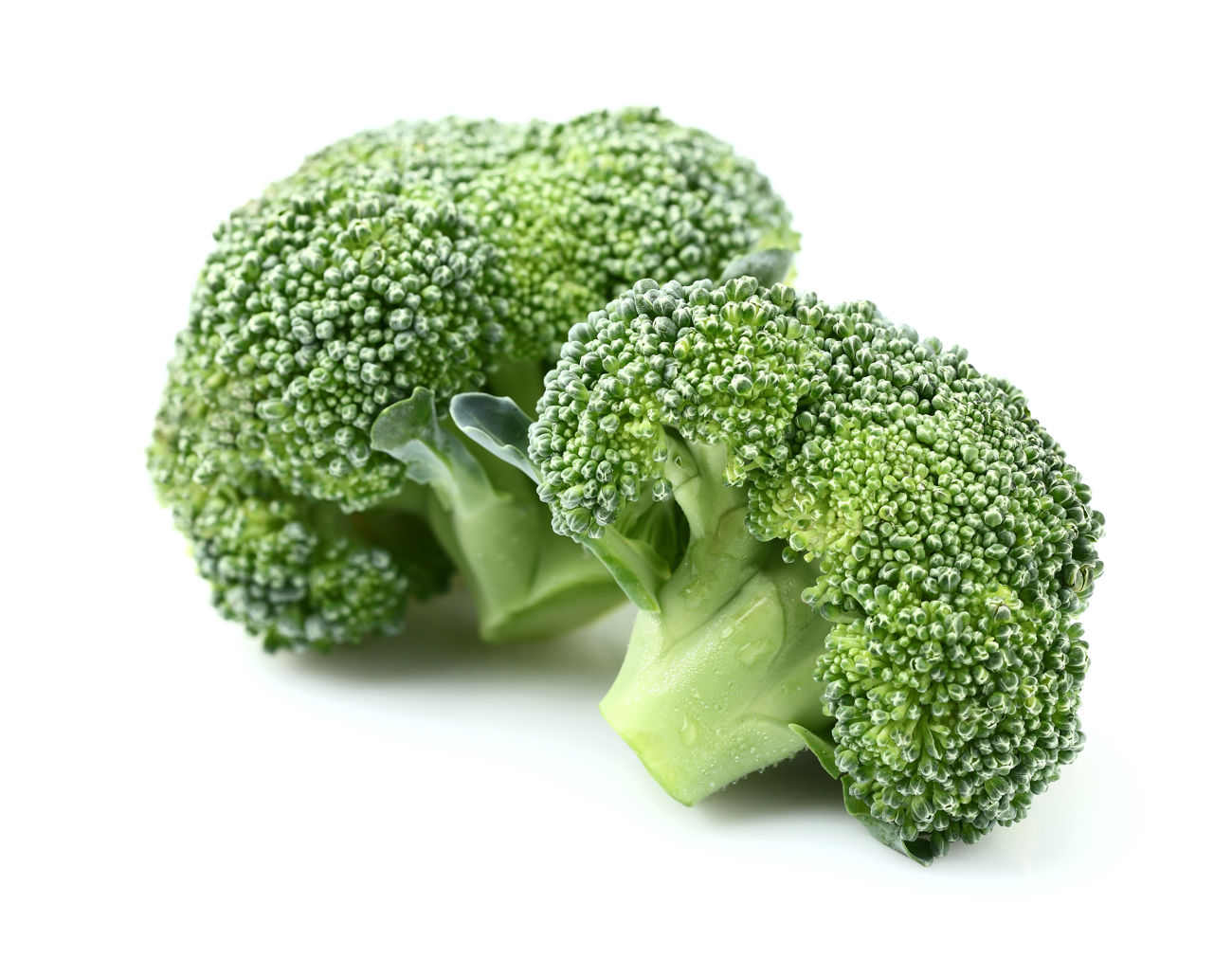 Friske broccolihoveder på hvid baggrund