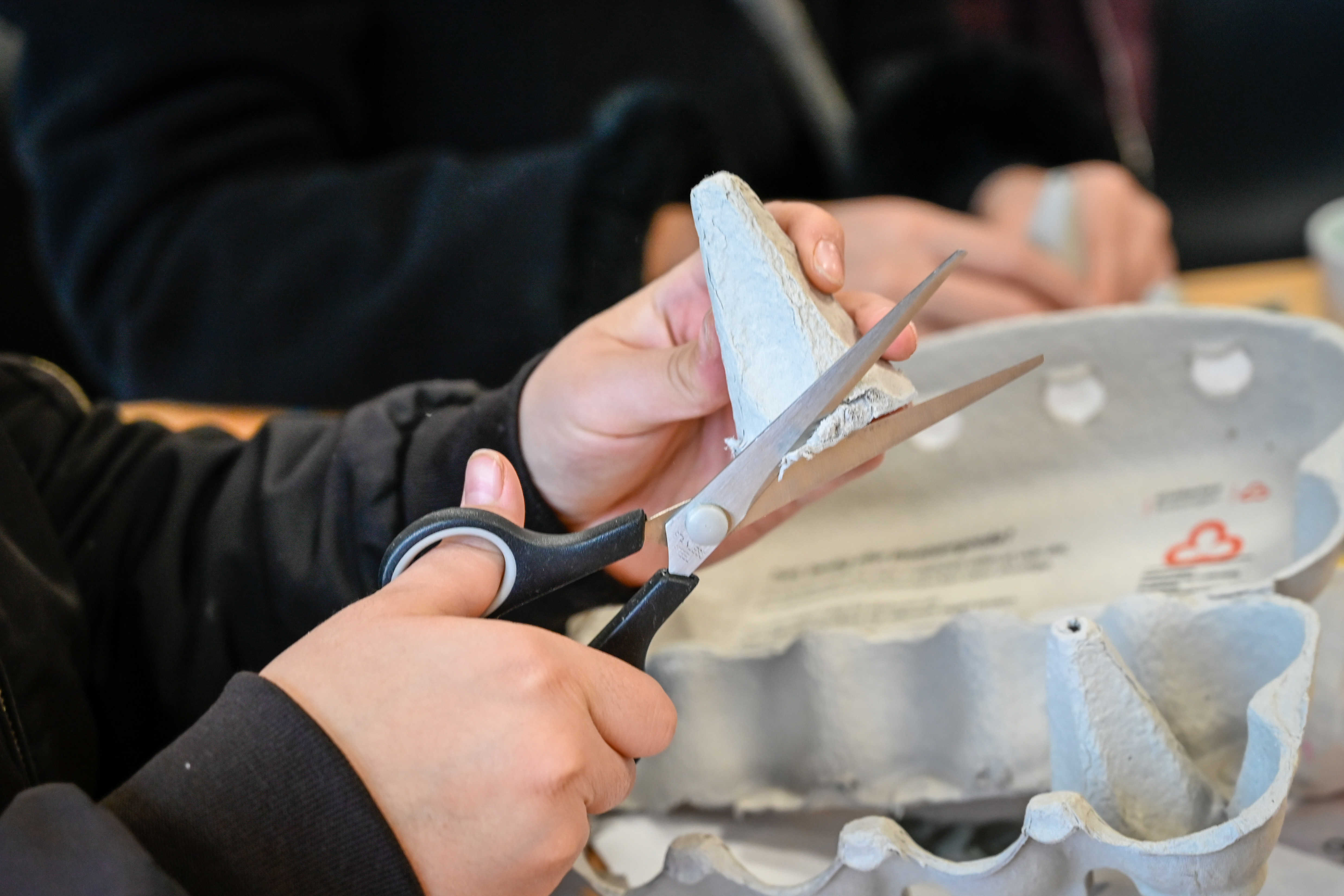 Person iført sort sweatshirt klipper i æggebakker ved et arbejdsbord i Laboratoriet på RCV.