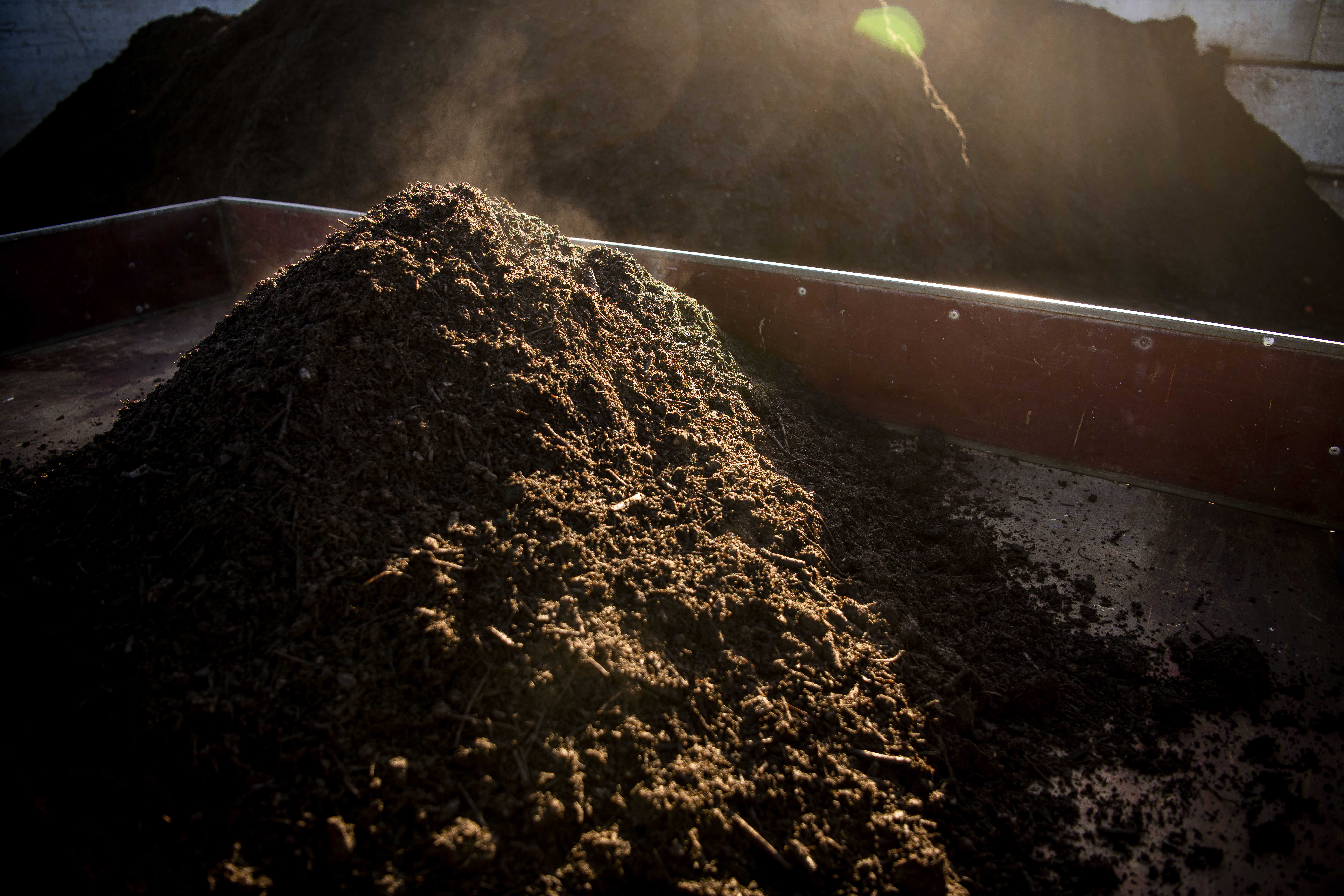 Dampende kompost i trailer.