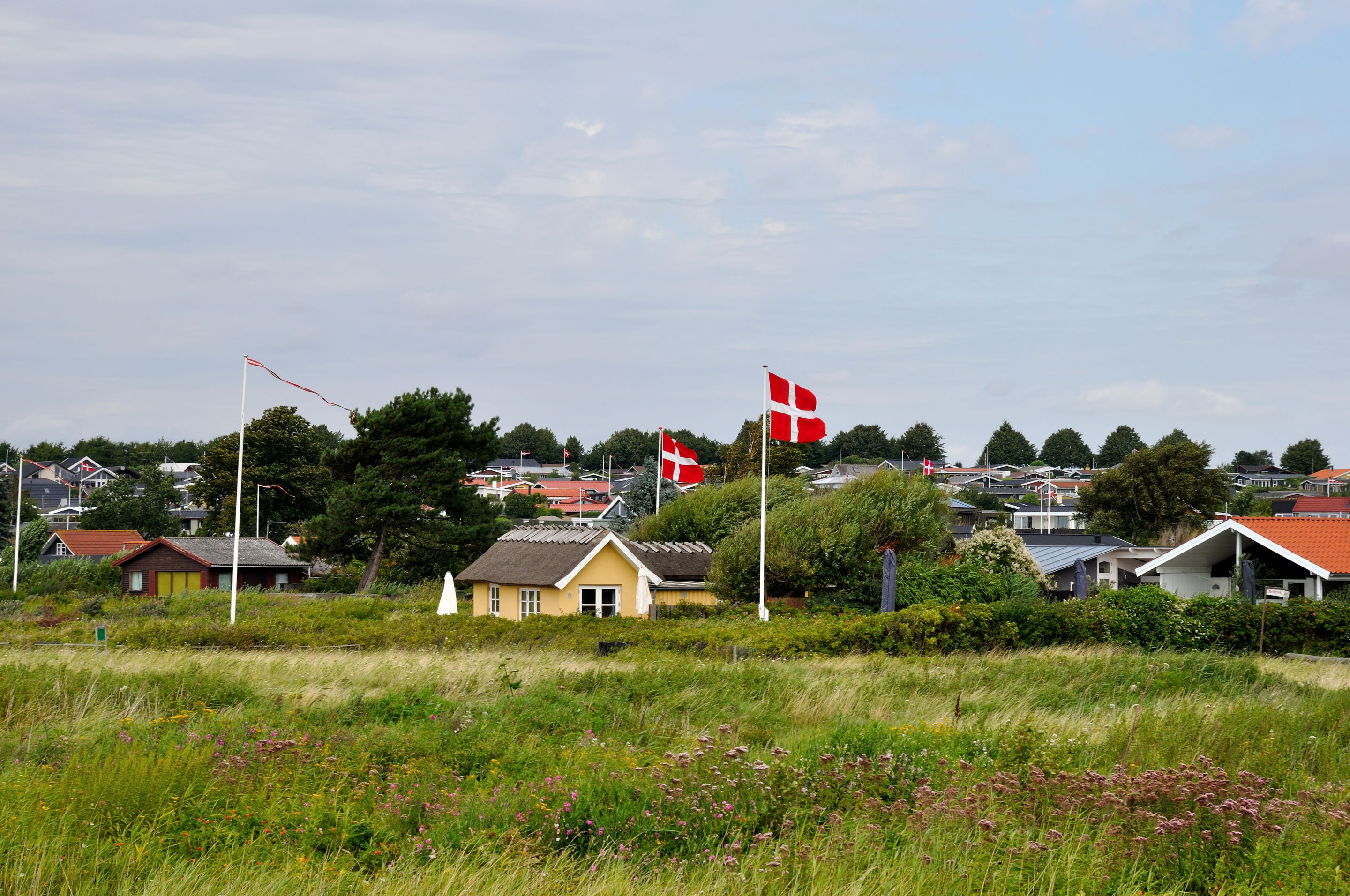 ommerhusområde med grønne enge i forgrunden og flere små huse omgivet af træer og buske. Flere flagstænger med danske flag blafrer i vinden under en delvist skyet himmel.