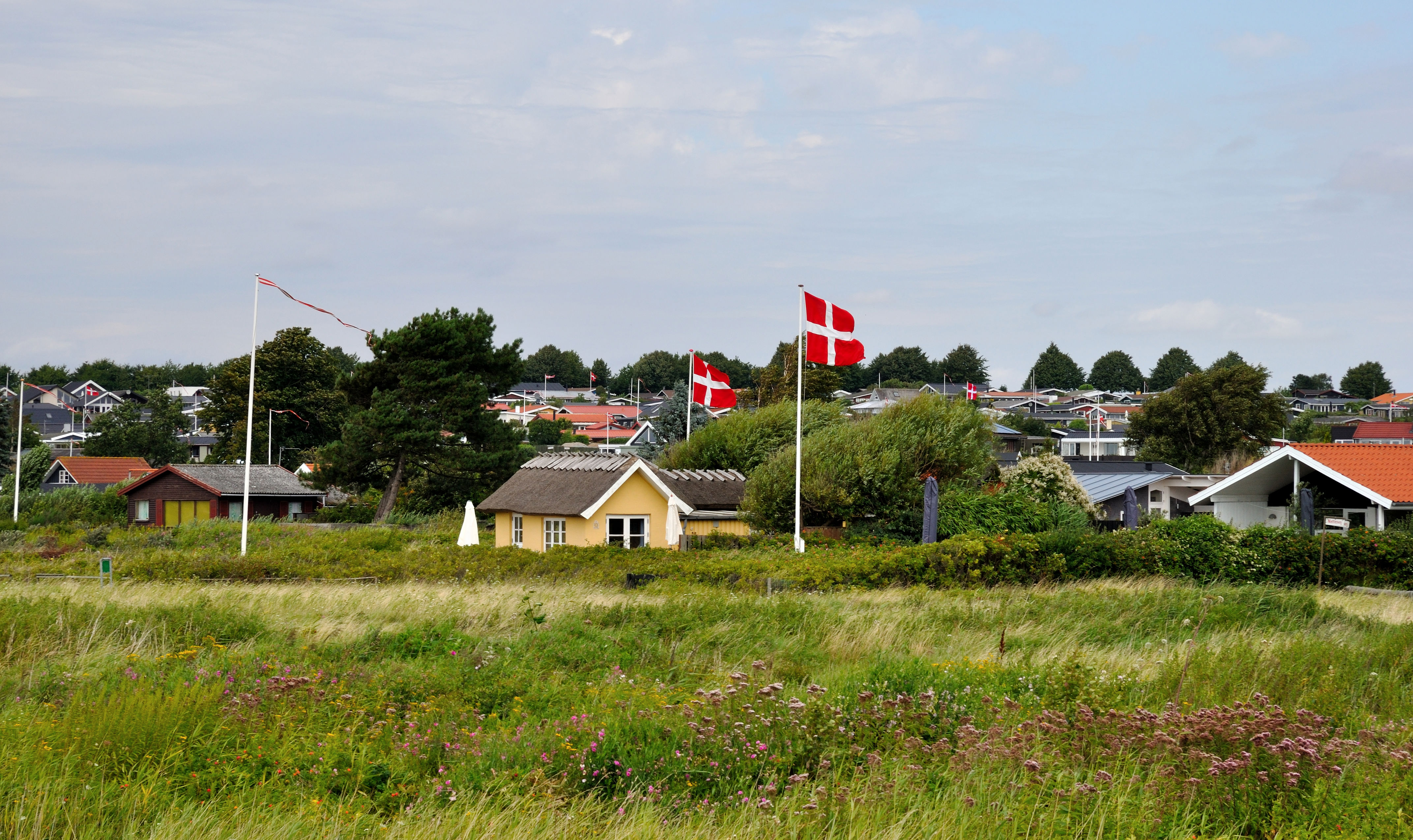 ommerhusområde med grønne enge i forgrunden og flere små huse omgivet af træer og buske. Flere flagstænger med danske flag blafrer i vinden under en delvist skyet himmel.