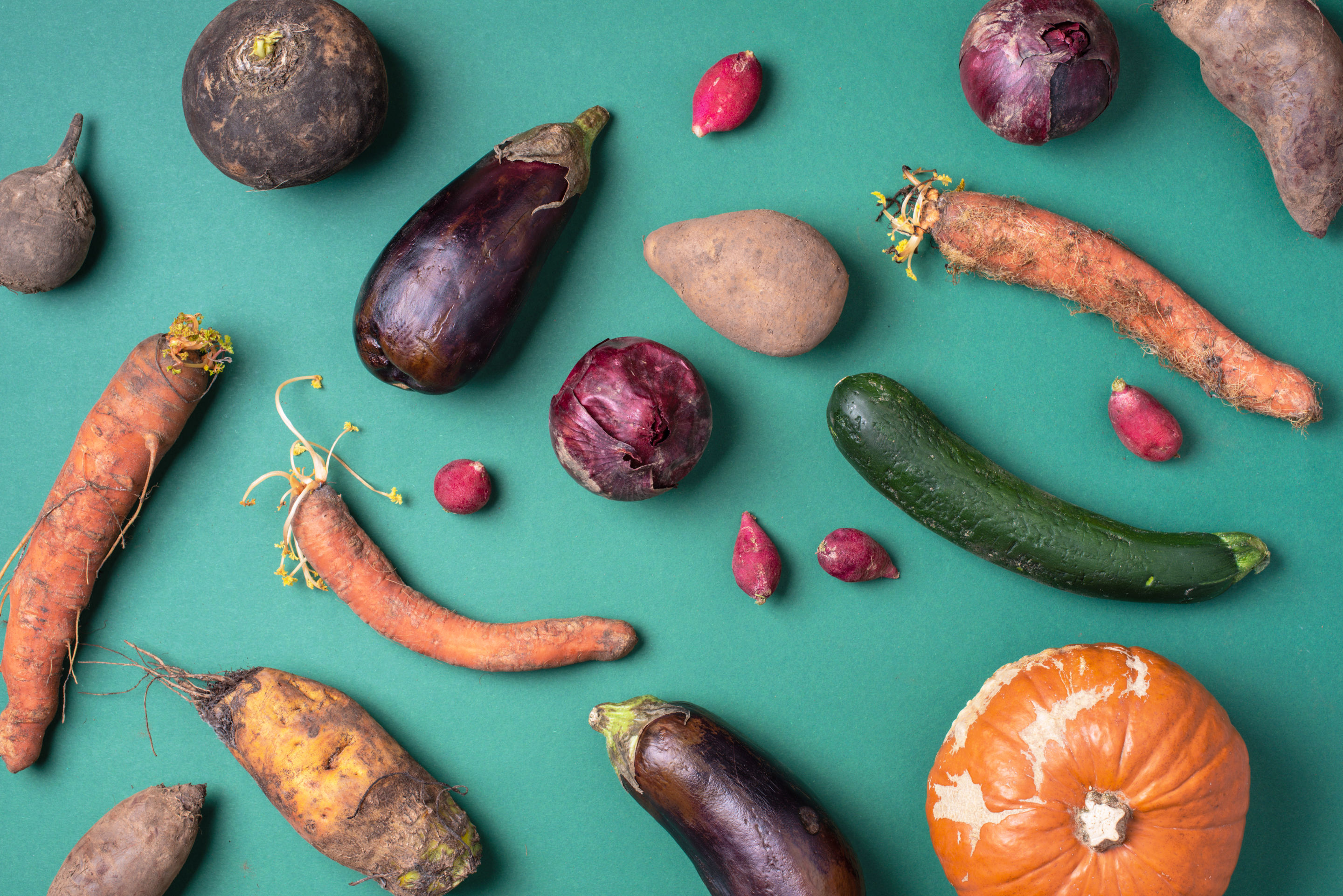 Forskellige rodfrugter og grøntsager på en grøn baggrund. Der ses blandt andet gulerødder, græskar, squash, løg, radiser mv.