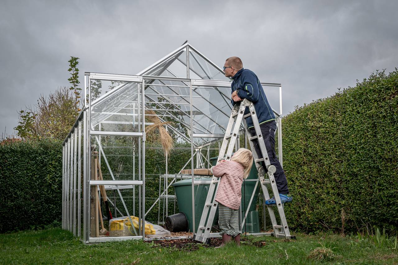 Rasmus står på stigen, som han har lånt fra fællesskuret, og er i gang med at kigge på drivhuset. Ved siden af står hans datter og kigger på.