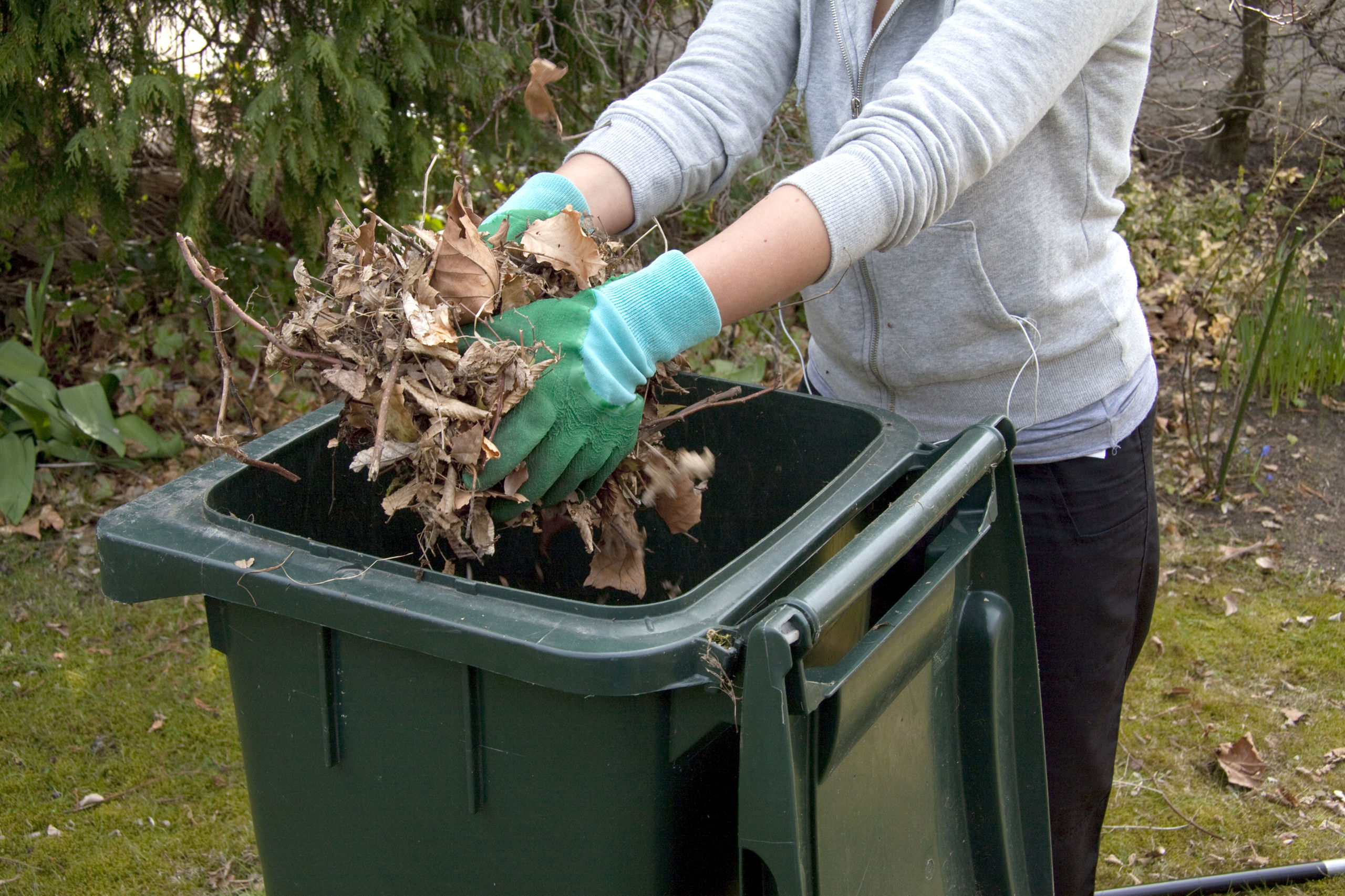 Person iført grønne havehandsker smider en bunke visne blade og grene i en grøn affaldscontainer til haveaffald. Baggrunden viser en have med buske og planter.